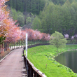 絵本の里家族旅行村 ムーニャの散歩道