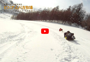 VIVA羊駝牧場氣墊雪橇滑行风景