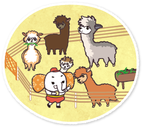 สถานที่แนะนำ ฟาร์ม Viva Alpaca