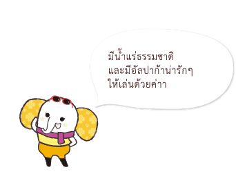 มีน้ำแร่ธรรมชาติ และมีอัลปาก้าน่ารักๆ ให้เล่นด้วยค่าา