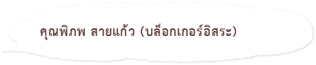 คุณพิภพ สายแก้ว (บล็อกเกอร์อิสระ)